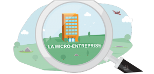 fonctionnement micro-entreprise
